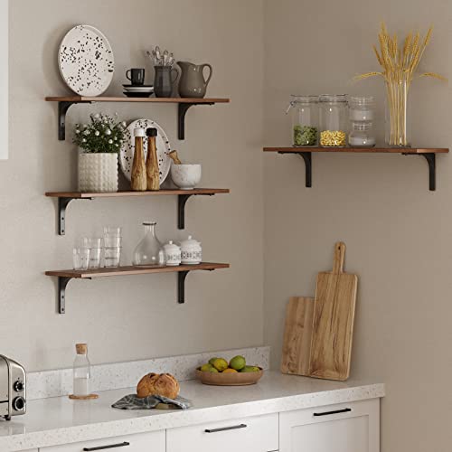 Long Wall Shelves (2 Count)