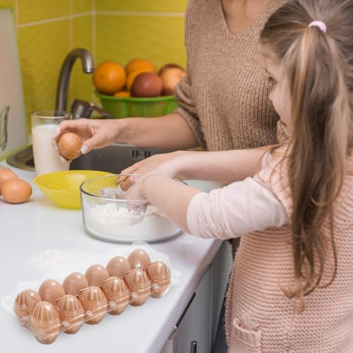 200Pcs Plastic Egg Carton Bulk Empty Clear Egg Tray Holder Container for Farm Business Market Home Kitchen Refrigerator Storage (200 Count)