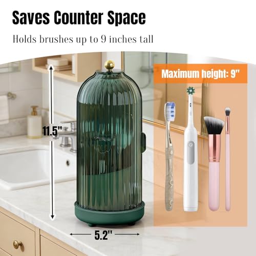 Dustproof Toothbrush Holder Organizer with Drainage