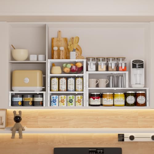 Expandable Spice Rack