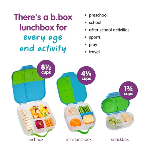 Mini Lunch Box