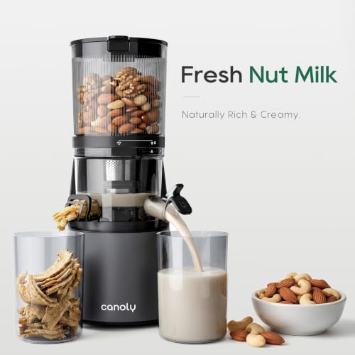 3-in-1 Cold Press Juicer C16, Makes Juice & Sorbet & Nut Milk