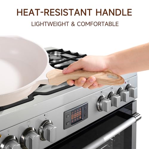 12.5 Inch Nonstick Frying Pan Skillet with Dual Spouts Cooking Pan