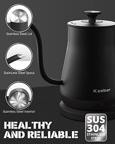 Electric Gooseneck Kettle