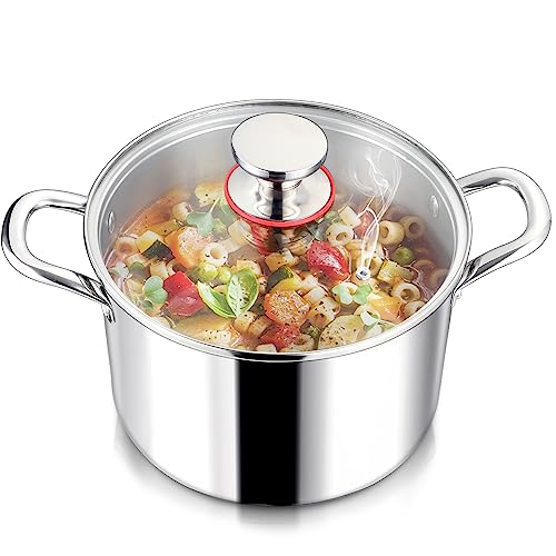6QT 18 10 Stainless Steel Stockpot with Lid