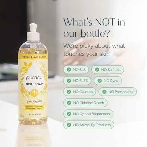 Natural Dish Soap (16 Fl Oz)