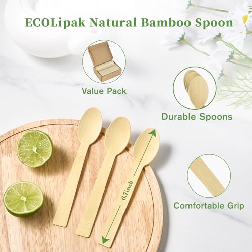 300 Count Disposable Compostable Bamboo Spoons for Party