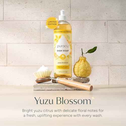 Natural Dish Soap (16 Fl Oz)