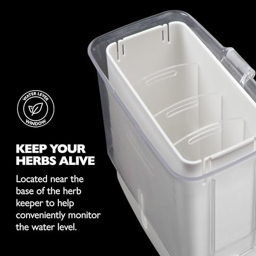 Fresh Herb Keeper