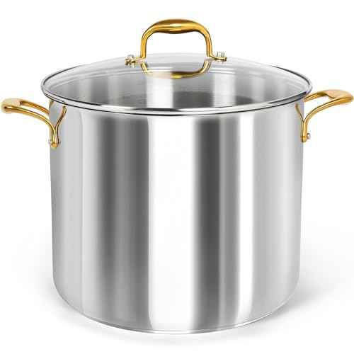 Stainless Steel Stock Pot