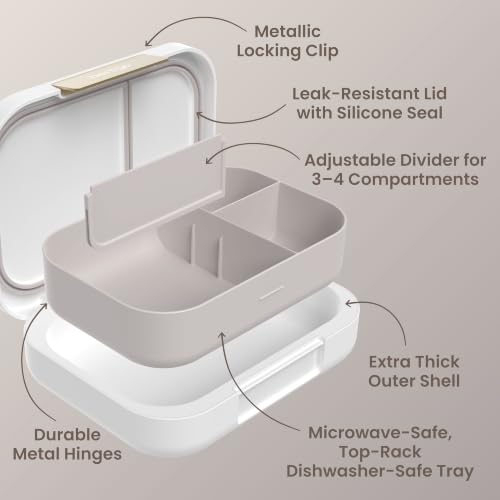 Modern Adult Bento Lunch Box with 3