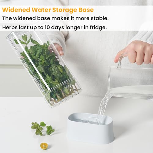Herb Keeper for Refrigerator (2 Count)