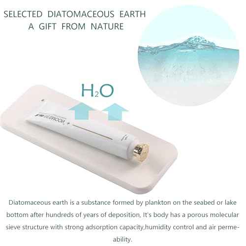 2Pcs Stone Soap Trays Water Absorbing Diatomite Coaster (2 Count)