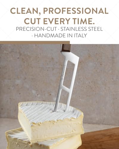 Professional Soft Cheese Knife w