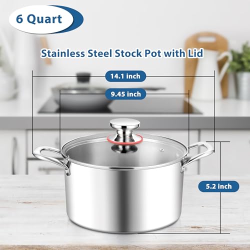 6 Quart Stock Pot