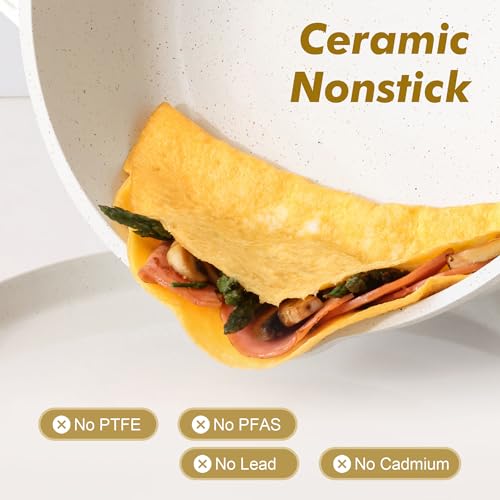 Nonstick Frying Pan Skillet with Lid 3.5