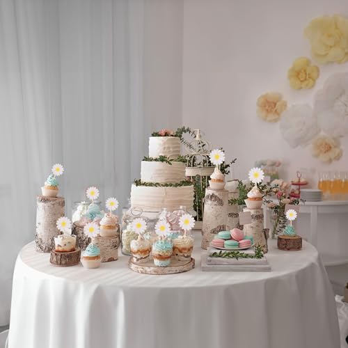 24Pcs Daisy Cupcake Toppers Flower Cake Topper Decorations Daisy Cake Decorations Chrysanthemum Cupcake Toppers Spring Daisy Flower Cake Picks for Birthday Wedding Supplies White (24 Count)