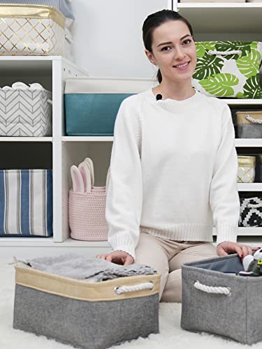 Storage Basket for Organizing (2 Count)