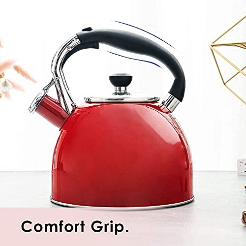 Whistling Tea Kettle for Stove Top