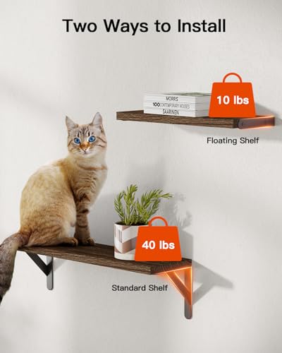 Amada Solid Paulownia Wood Wall Shelves (6 Count)