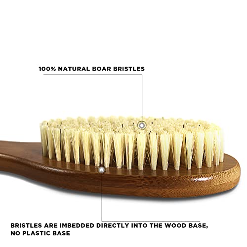 17.71Inch Natural Boar Bristles Anti