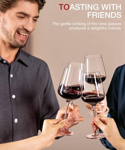 Red Wine Glasses Set of 6 (6 Count)