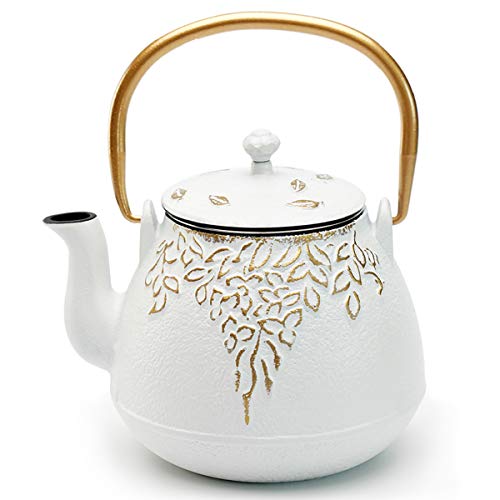 Japanese Cast Iron Tea Kettle with Infuser
