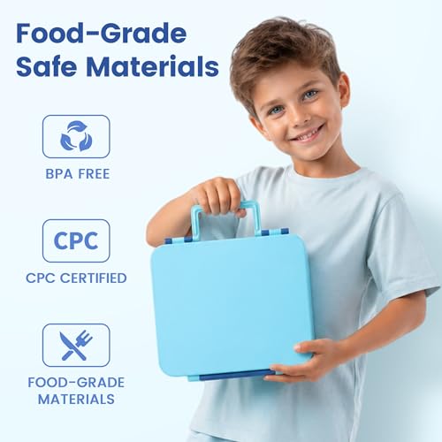 Bento Lunch Box for Kids with 8oz Soup Thermo