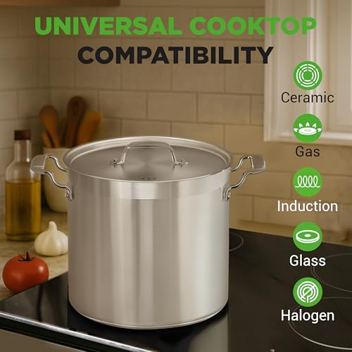 Stainless Steel Stock Pot with Lid