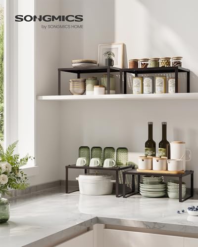 Set of 2 Metal Spice Racks (2 Count)