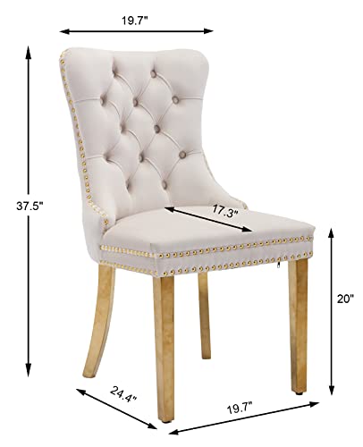 Beige and Gold Velvet Dining Chairs Set of 6 (6 Count)