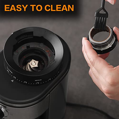 Burr Coffee Grinder