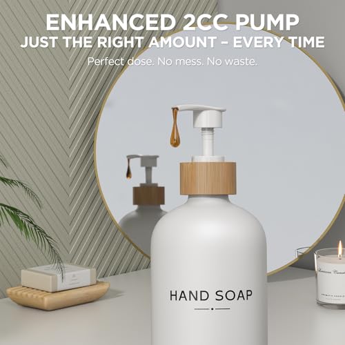 Hand and Dish Soap Dispenser Set (2 Count)