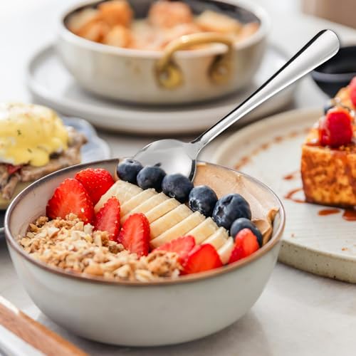Windsor 60 Pcs Stainless Steel Dinner Spoons (60 Count)