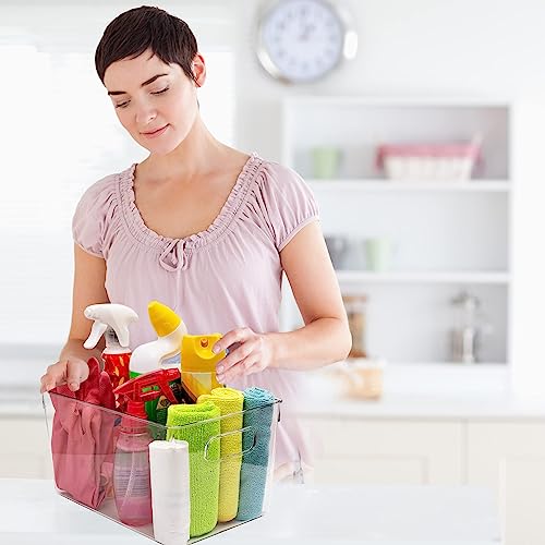 Clear storage organizer bins (2 Count)