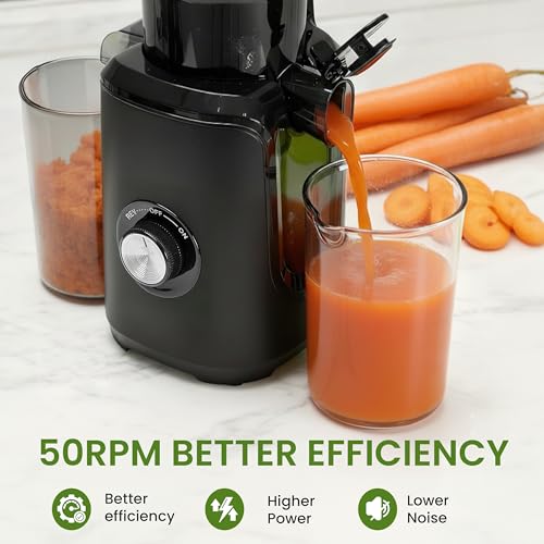 Cold Press Juicer