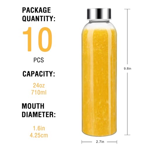 24oz Glass Water Bottle Set of 10 (10 Count)