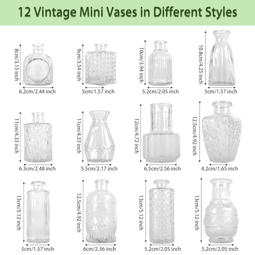 Glass Bud Vase Set of 12 Pcs (12 Count)
