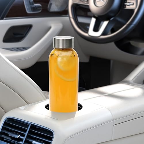 Glass Water Bottle (2 Count)