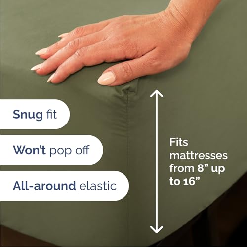 Queen Size 4 Piece Sheet Set (4 Piece Set)