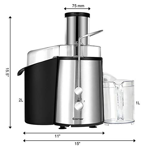 Juice Extractor