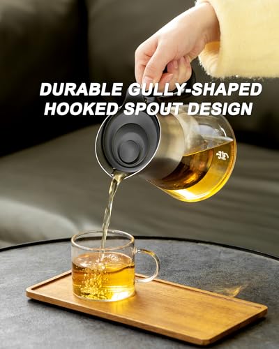 17 oz Small Glass Teapot with Infuser For Loose Leaf Tea Steeper