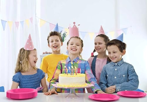 Party Solids Sturdy Hot Pink Plastic Plates 9" Party Plates 100 Pcs (100 Count)