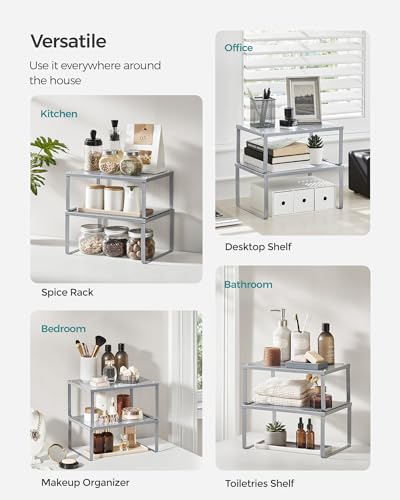Set of 2 Metal Spice Racks (2 Count)