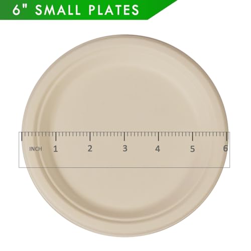 500 Count 6“ Small Compostable Dessert Plates