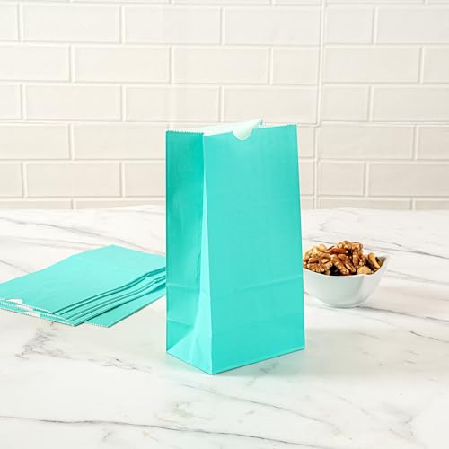 Turquoise Paper Bag (100 Count)