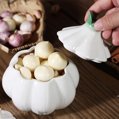 Garlic Keeper for Counter
