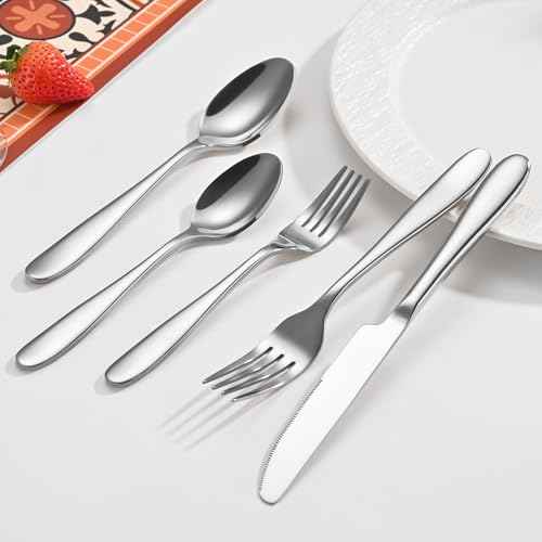 20 Piece Silverware Set (20 Count)