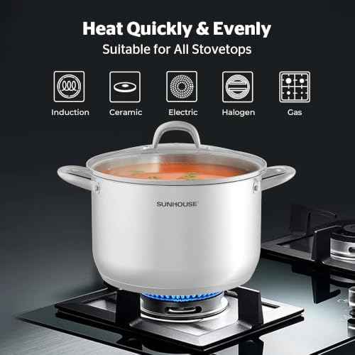 Stainless Steel Stock Pot