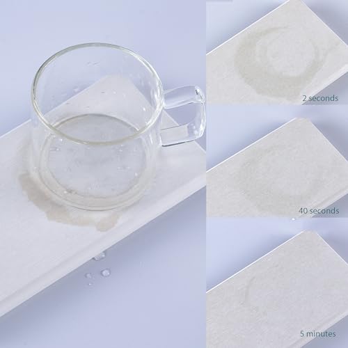 2Pcs Sink Stone Soap Tray Water Absorbing Diatomite Coaster (2 Count)